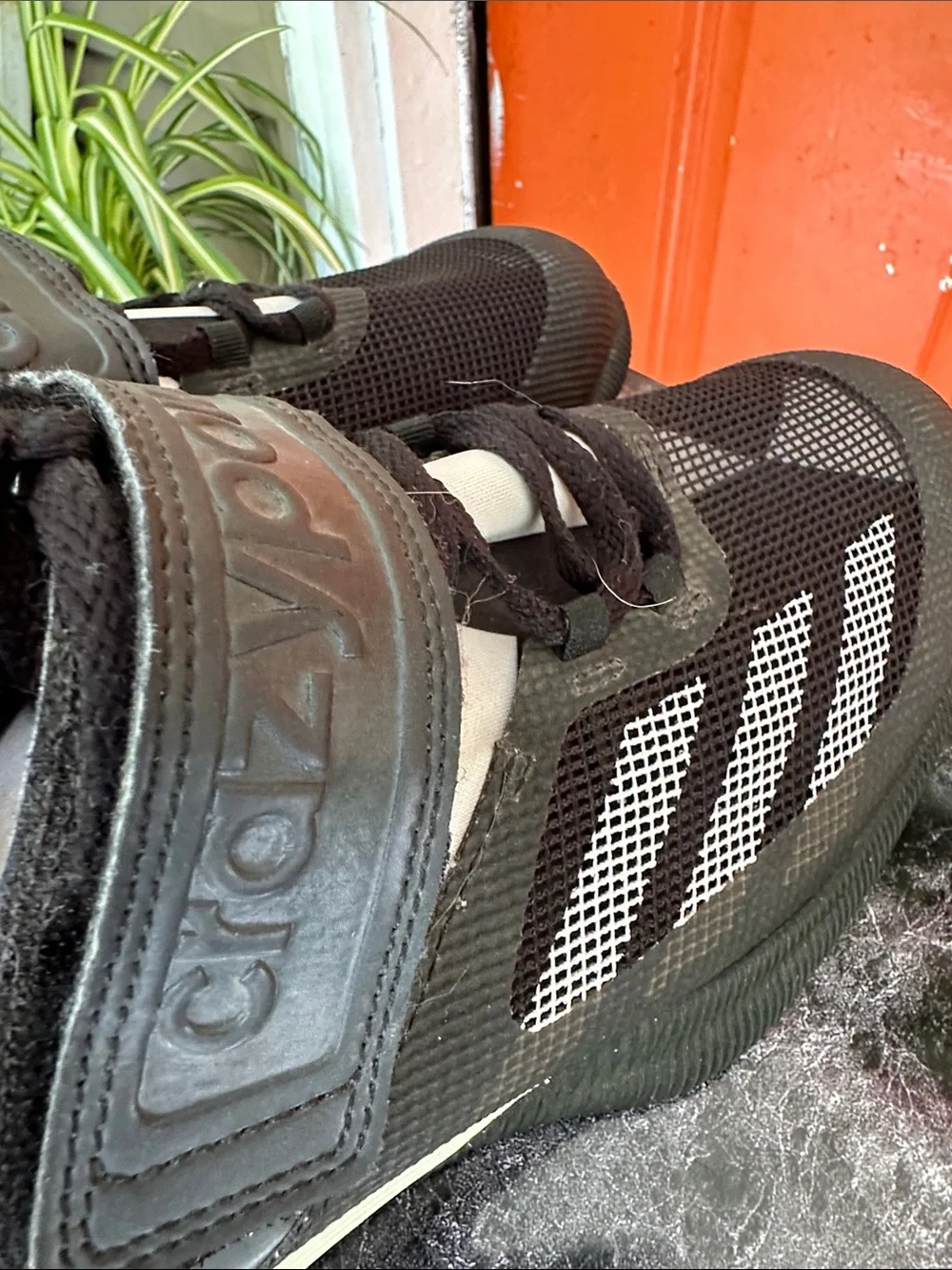 adidas wight lifting